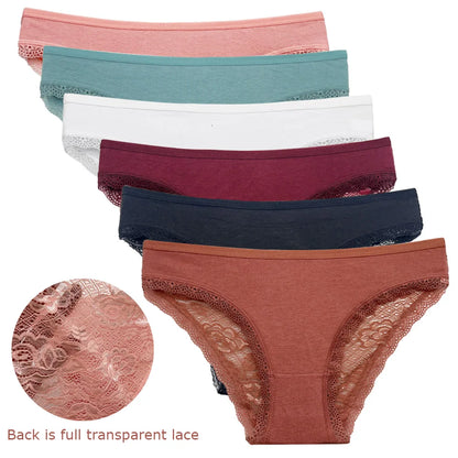 Colorful  Lace Low Rise 5 panties